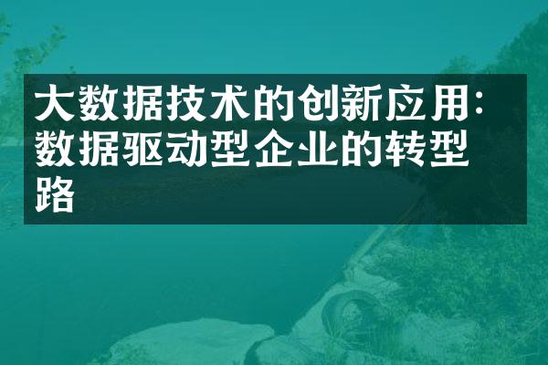 大数据技术的创新应用：数据驱动型企业的转型之路