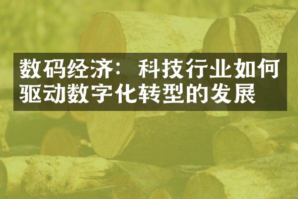 数码经济：科技行业如何驱动数字化转型的发展