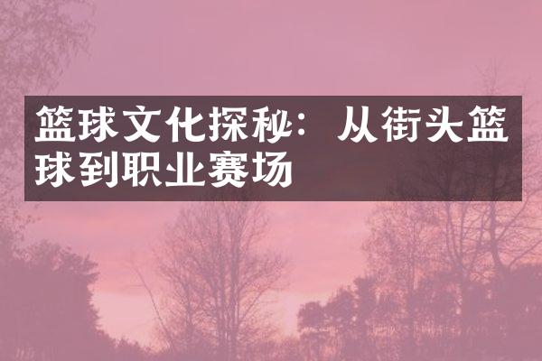 篮球文化探秘：从街头篮球到职业赛场