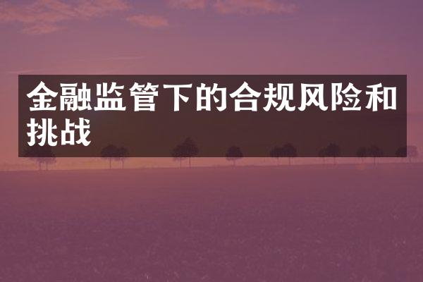 金融监管下的合规风险和挑战