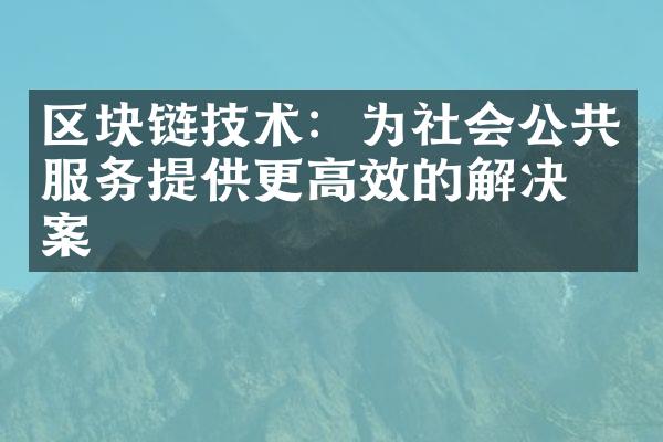 区块链技术：为社会公共服务提供更高效的解决方案