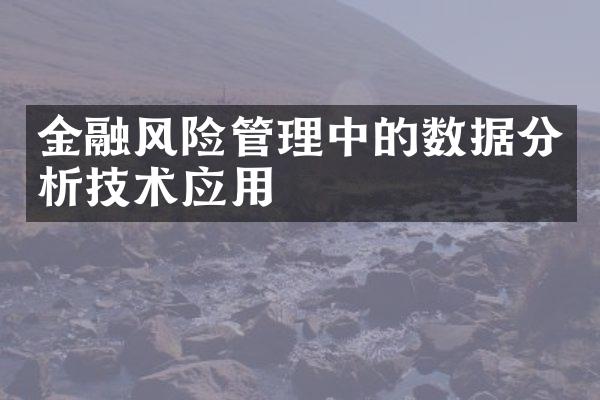 金融风险管理中的数据分析技术应用