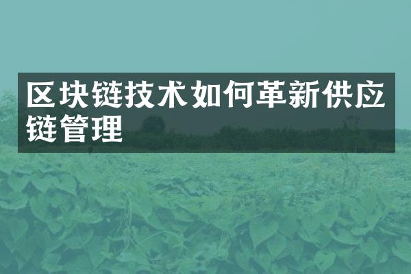 区块链技术如何革新供应链管理