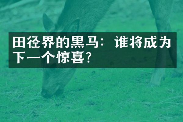 田径界的黑马：谁将成为下一个惊喜？