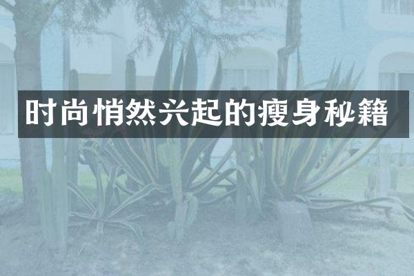 时尚悄然兴起的秘籍