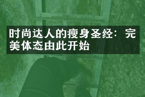 时尚达人的瘦身圣经：完美体态由此开始