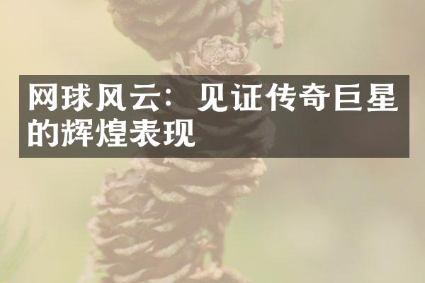 网球风云：见证传奇巨星的辉煌表现