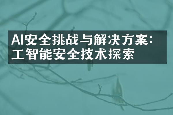 AI安全挑战与解决方案：人工智能安全技术探索