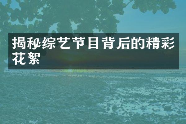 揭秘综艺节目背后的精彩花絮