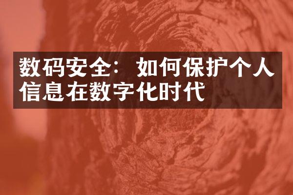 数码安全：如何保护个人信息在数字化时代