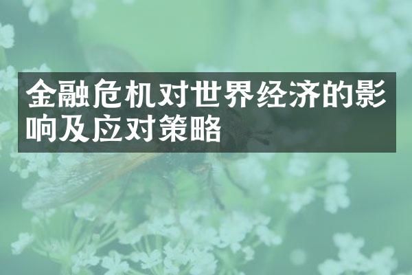 金融危机对世界经济的影响及应对策略