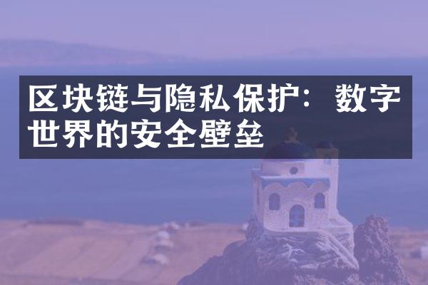 区块链与隐私保护：数字世界的安全壁垒