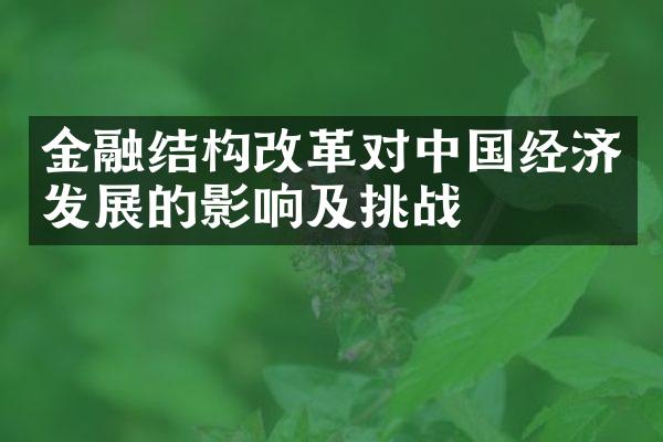 金融结构改革对中国经济发展的影响及挑战