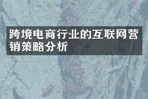 跨境电商行业的互联网营销策略分析