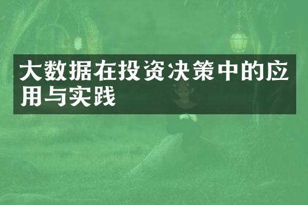 大数据在投资决策中的应用与实践