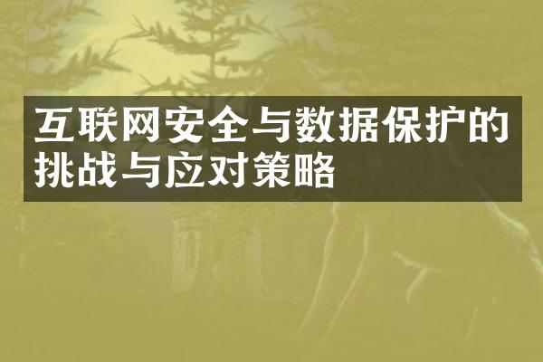 互联网安全与数据保护的挑战与应对策略