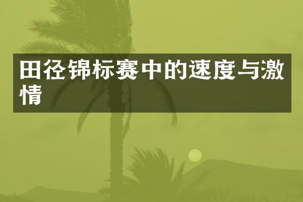 田径锦标赛中的速度与