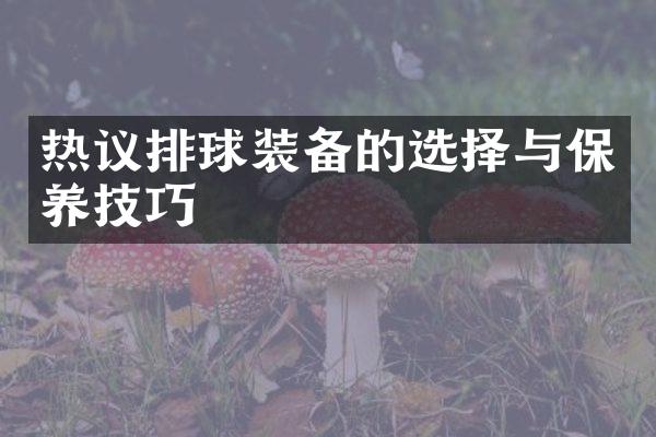 热议排球装备的选择与保养技巧