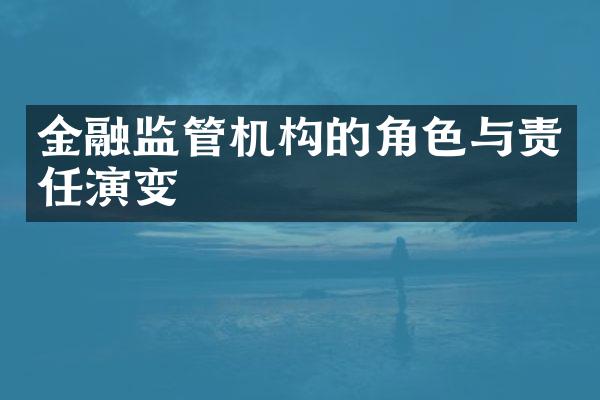 金融监管机构的角色与责任演变