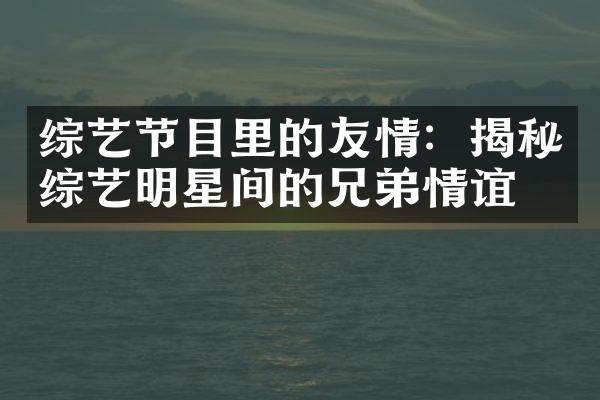 综艺节目里的友情：揭秘综艺明星间的兄弟情谊