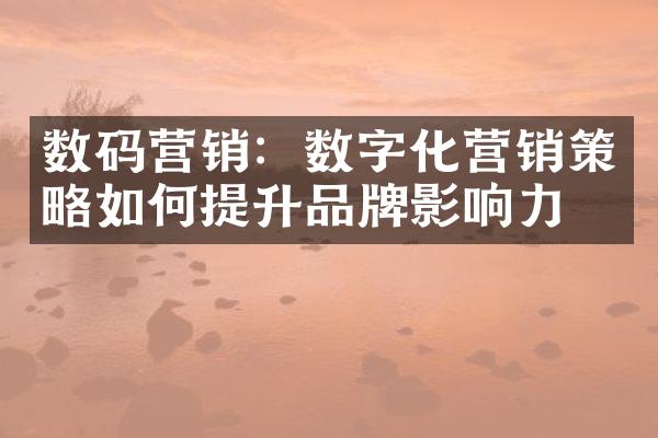 数码营销：数字化营销策略如何提升品牌影响力