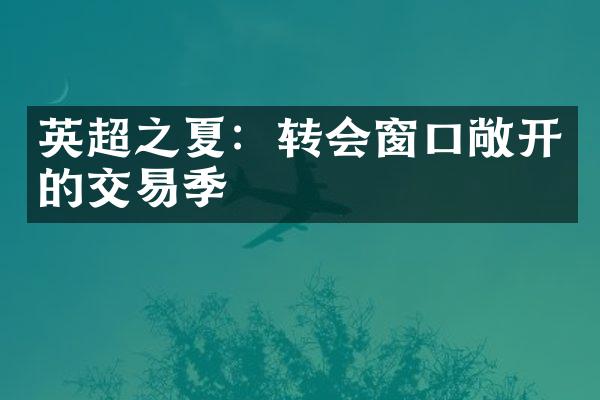 英超之夏：转会窗口敞开的交易季