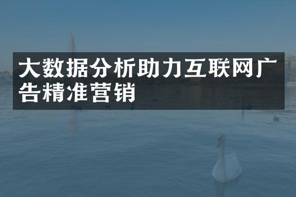 大数据分析助力互联网广告精准营销