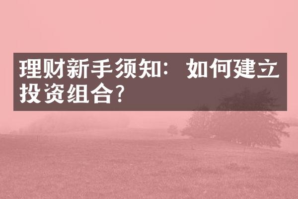 理财新手须知：如何建立投资组合？