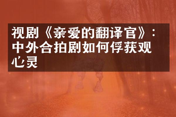 视剧《亲爱的翻译官》：中外合拍剧如何俘获观众心灵