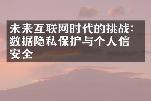 未来互联网时代的挑战：数据隐私保护与个人信息安全