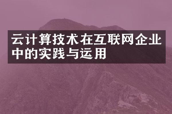 云计算技术在互联网企业中的实践与运用