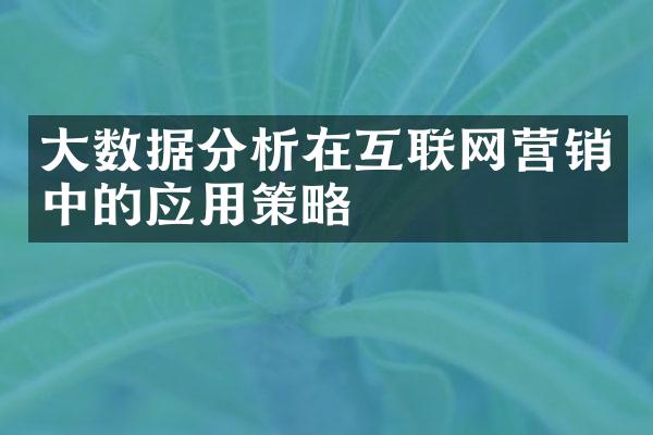 大数据分析在互联网营销中的应用策略