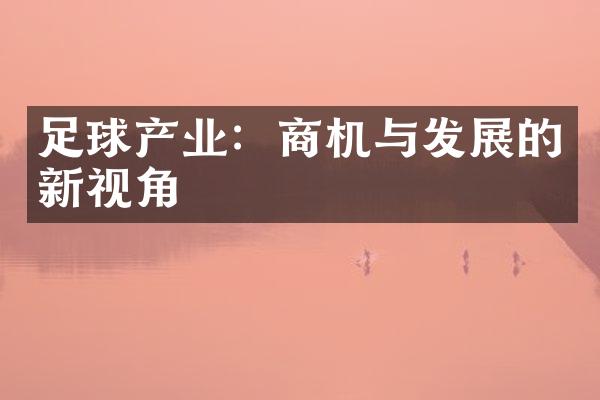 足球产业：商机与发展的新视角