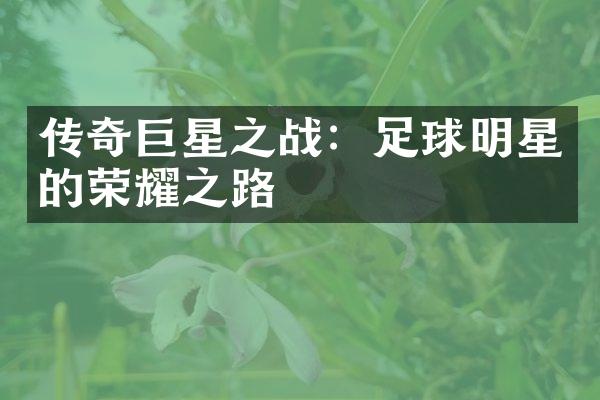 传奇巨星之战：足球明星的荣耀之路