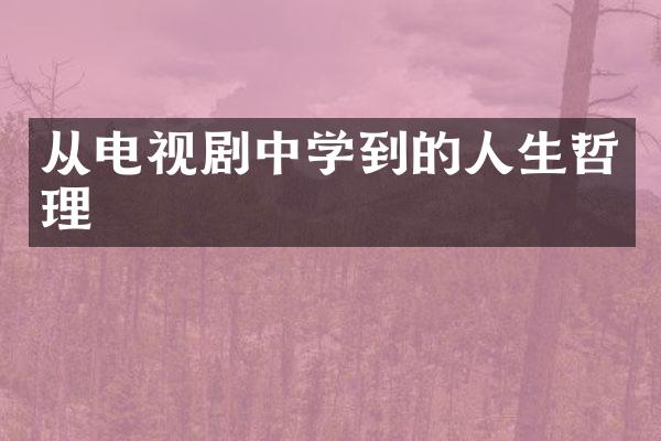 从电视剧中学到的人生哲理