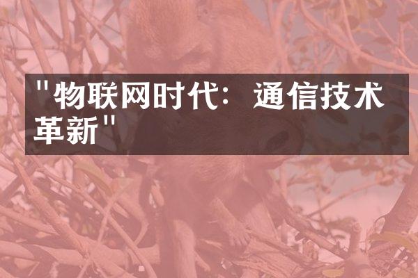 "物联网时代：通信技术的革新"