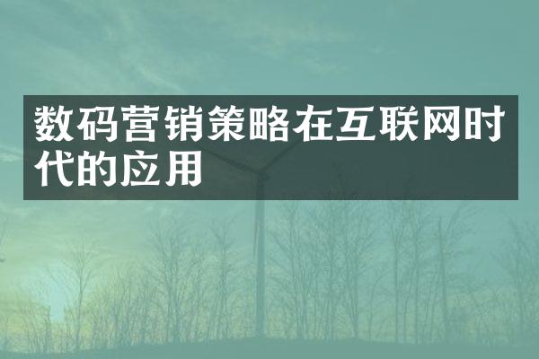 数码营销策略在互联网时代的应用