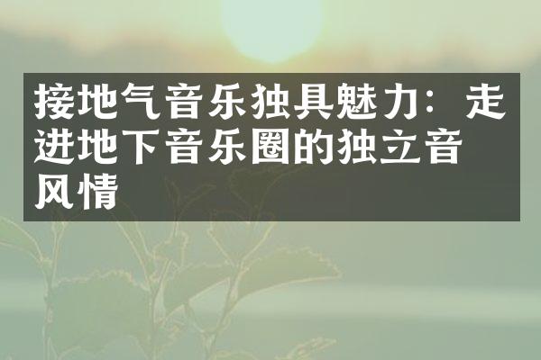 接地气音乐独具魅力：走进地下音乐圈的独立音乐风情