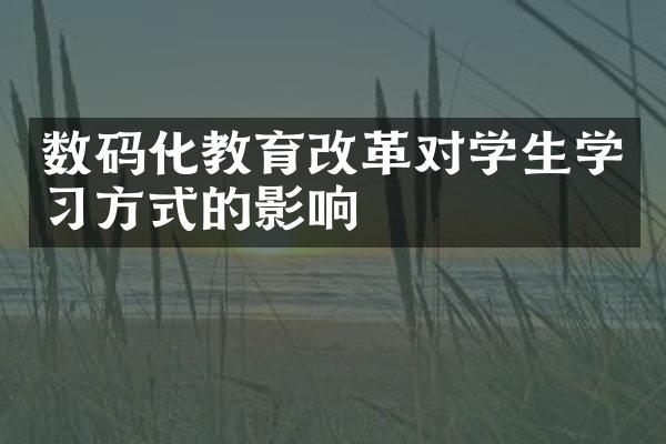 数码化教育改革对学生学习方式的影响