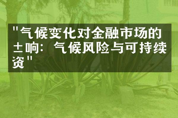 "气候变化对金融市场的影响：气候风险与可持续投资"