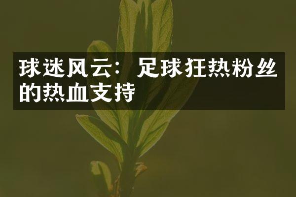 球迷风云：足球狂热粉丝的热血支持