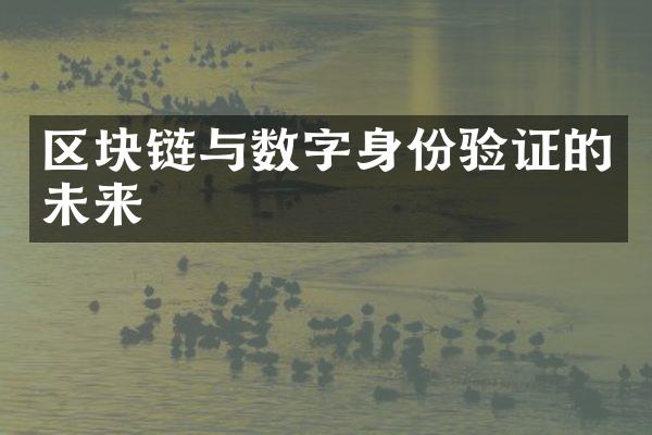 区块链与数字身份验证的未来