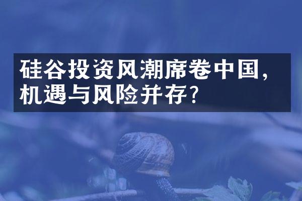 硅谷投资风潮席卷中国，机遇与风险并存？