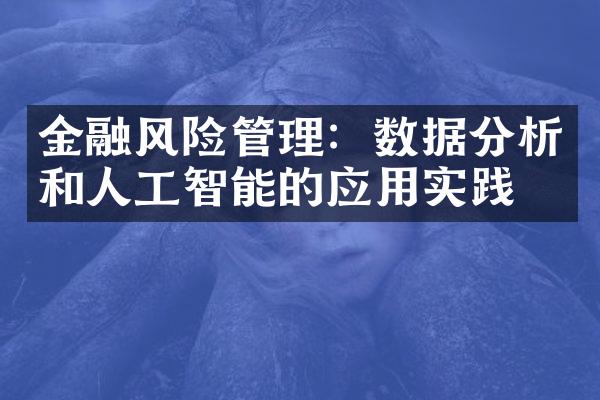 金融风险管理：数据分析和人工智能的应用实践