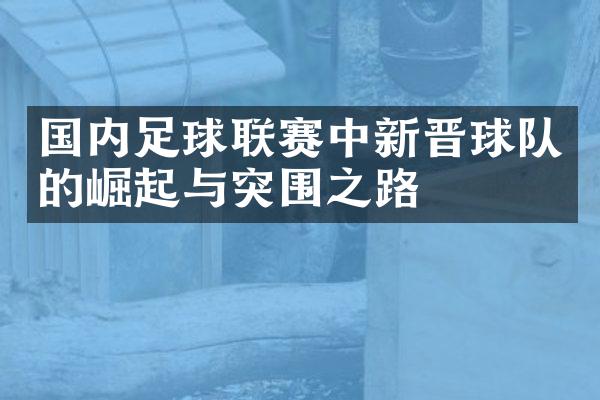 国内足球联赛中新晋球队的崛起与突围之路