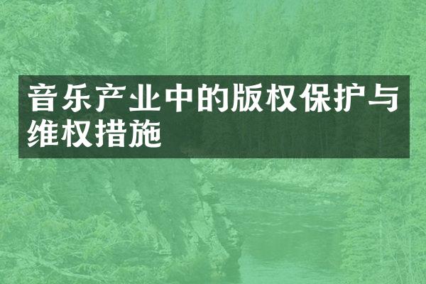 音乐产业中的版权保护与措施