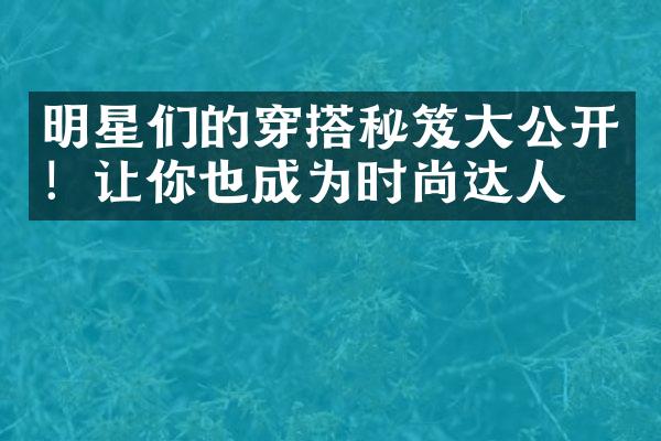 明星们的穿搭秘笈公开！让你也成为时尚达人！