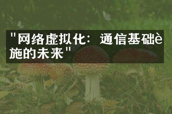 "网络虚拟化：通信基础设施的未来"