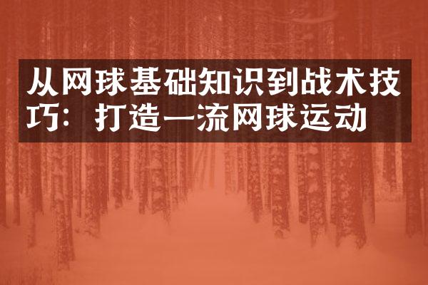 从网球基础知识到战术技巧：打造一流网球运动员