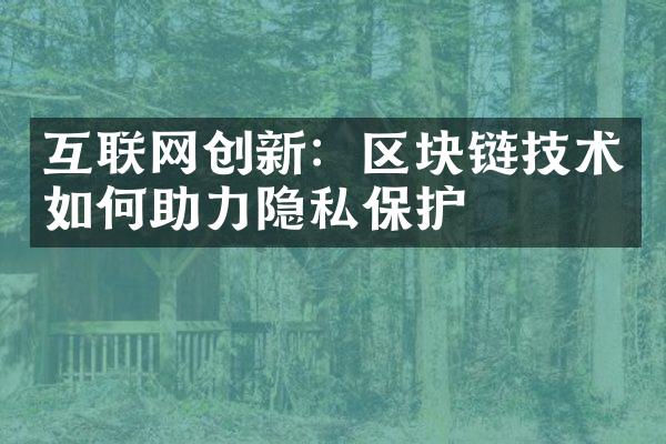 互联网创新：区块链技术如何助力隐私保护